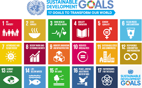 Who created the sdgs and why? What Does The World Really Think About The Un Sustainable Development Goals The European Sting Critical News Insights On European Politics Economy Foreign Affairs Business Technology Europeansting Com