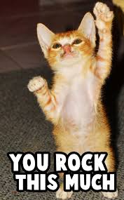 You Rock Meme Work Anniversary Meme Anniversary Meme Funny Pictures