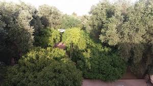 Le Jardin Des Orangers Picture Of Riad Le Jardin Des Orangers Taroudant Tripadvisor