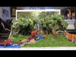 Biome In A Box Tropical Rainforest 53 How To Make A Rainforest Diorama 6th Grader Project Youtube Rainforest Project Rainforest Biome Biomes