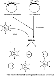 Image result for Black 1997 AAV