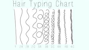 20 Hair Type Chart Men Alwaysdc Com