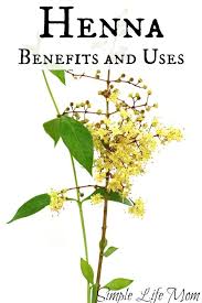 Henna Benefits And Uses Simple Life Mom Healing Herbs Magical Herbs Herbs