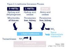 Comparison of L-Methionine, DL-Methionine and Methionine ...