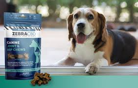 CBD Joint & Hip Chews For Dogs | Zebra CBD