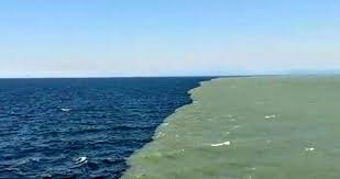 We did not find results for: LÆ°u Kham HÆ°ng åŠ‰æ¬½èˆˆ Vi Sao NÆ°á»›c á»Ÿ Thai Binh DÆ°Æ¡ng Va Ä'áº¡i Tay DÆ°Æ¡ng Láº¡i Tach Lam Ä'oi