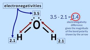 Polar Molecules Tutorial How To Determine Polarity In A Molecule