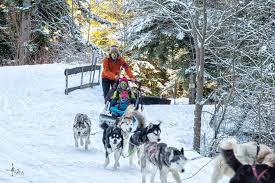 Une station pour petits et grands ! Chiens De Traineaux Selonnet