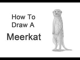 How To Draw A Meerkat Youtube Explains how to use meerkat gis, a plugin for grasshopper3d. how to draw a meerkat youtube