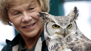 Tough Winter Forces Owls South in Hunt for Food