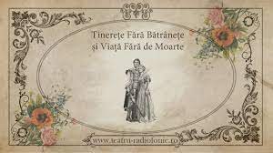 De peste 50 de ani, immergas se ocupa de proiectarea si producerea sistemelor inovative de incalzire si producere a apei calde. Centrala Termica Ideala Modulare De La 0 La 40 Kw Sibotherm