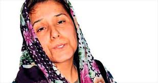 15 gün içinde iki evlat acısı