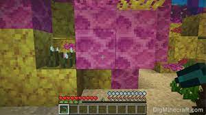 We did not find results for: How To Make A Dead Brain Coral Block In Minecraft
