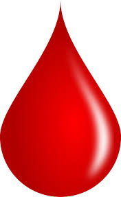 Image result for blood