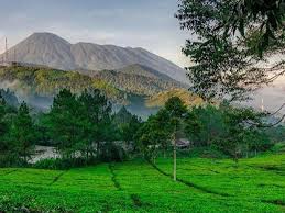 Renungan air hidup dosa telah di tiadakan marilah kita dengan segena… lowongan jaga vila cisarua puncak … renungan air hidup dosa telah di tiadakan / sekadar renungan. Ppkm Darurat Agrowisata Gunung Mas Bogor Tetap Buka Dengan Pembatasan News Liputan6 Com