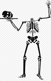 Maybe you would like to learn more about one of these? Kerangka Kerangka Manusia Tengkorak Gambar Png