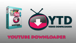 Pin On Free Download