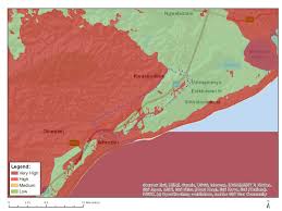 Image result for Callichilia orientalis