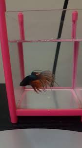 Check spelling or type a new query. Jelaskan Secara Singkat Pengaruh Pusat Pusat Keunggulan Ekonomi Terhadap Mograsi Penduduk Brainly Co Id