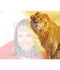 Find over 100+ of the best free frame images. Photomontage To Put Your Photo Together With A Lion