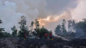 Umumnya, gaji diberikan pada akhir bulan. Jalan Tol Palembang Indralaya Dikepung Kebakaran Lahan