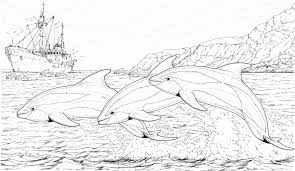 Download and print these dolphin coloring pages for free. Get This Dolphin Coloring Pages Free To Print 93614