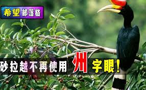 Image result for ç æè¶