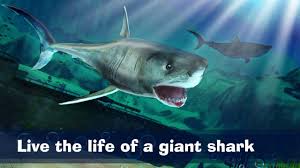 Real shark simulator 3d apk 1.5 download for android mobile & pc. Great White Shark Simulator 3d For Android Apk Download