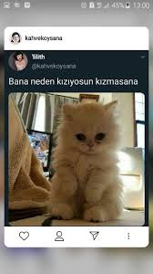 Fotograf Ve Yasam Photo And L Adli Kullanicinin Komik Postlar Panosundaki Pin 2020 Komik Seyler Komik Cocuklar Komik