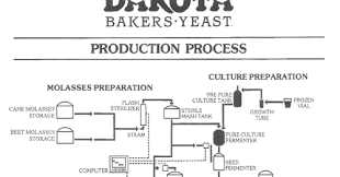 Mr Windu Dot Com Bakers Yeast Production