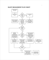 free 11 management flow chart examples samples in pdf