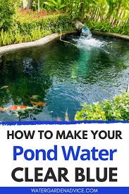 Maybe you would like to learn more about one of these? How To Make Pond Water Clear Blue Pond Fountains Pond Landscaping Farm Pond