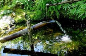 How far north do palm trees survive? Natural Resource Use In The Group Of 20 Status Trends And Solutions Resource Panel