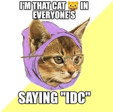 Want to make your own memes for free? Meme Creator Funny I M That Cat In Everyone S Saying Idc Meme Generator At Memecreator Org