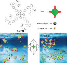 Water‐Soluble Conjugated Molecule for Solar‐Driven Hydrogen Evolution from  Salt Water 