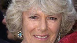 Vor ihrem Tod: Diana drängte Charles zur Hochzeit mit Camilla