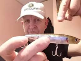 AMAZING BEST TOP 10 TOPWATER BASS LURES