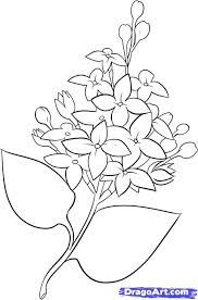 Check spelling or type a new query. How To Draw Lilacs Flower Drawing Lilac Painting Lilac