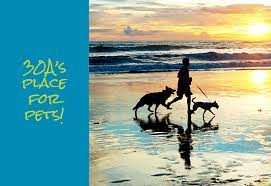 Maybe you would like to learn more about one of these? Kindness Pet Hospital Santa Rosa Beach Veterinary Clinic