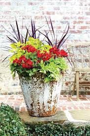 Check spelling or type a new query. 30 Heat Tolerant Container Gardens For Summer Southern Living