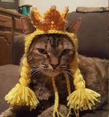Hats For Cats Hats For Small Dogs Princess Costume Pet Clothing Pet Costume Queen Cat Hat Animal Hats Princess Ca Hats For Cats Pet Costumes Animal Hats