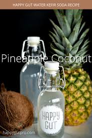 Pineapple Coconut Water Kefir Soda Recipe Kefir Soda Recipe Pineapple Coconut