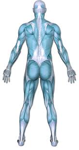 With rest and proper treatment, most. Groin Strain Pt Me