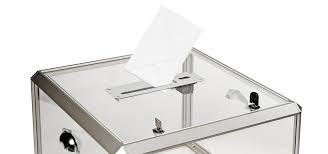 Pendant deux semaines la jeune biennoise clara brambilla s'est intéressée pour nous aux élections au conseil de ville de bienne. Validite D Un Bulletin De Vote Telecharge En Ligne Et Imprime Par L Electeur Infos Pratiques Actualites Ministere De L Interieur