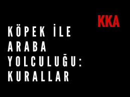 Kopekle Araba Yolculugu Kurallar Youtube