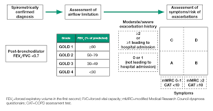 Cat, copd assessment test and the cat logo are trademarks of the gsk group of companies. Gold Copd 2021 Strategy Independent Professional Body Guideline Guidelines