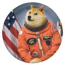 Astronaut Dog Doge Shibe Doge Memes Paper Plate Zazzle Com In 2021 Shibe Doge Doge Dog Doge