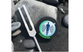 We did not find results for: Biofield Tuning Reiki Medical Reiki Bioresonance Feedback Pemf By Energetic Apothecary Reiki For Wellness In Matthews Nc Alignable