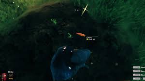 Here are some tips for knowing how to plant seeds and trees on valheim: How To Plant Carrot Seeds In Valheim Gamer Journalist