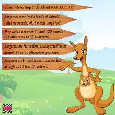 The free, funny fact files and cool fact sheets on animals provide interesting, amazing information, together with pictures, photos and fun facts on dogs and puppies for kids learn interesting trivia and cool facts about dogs and puppies especially for children. Zebra Nursery Rhymes On Twitter Some Interesting Facts About Kangaroos Kids Animals Factsaboutanimal Kangaroo Animalsforkids Loveanimals Learning Educational Kindergarten Preschoolers Https T Co Aahbpb3pc8